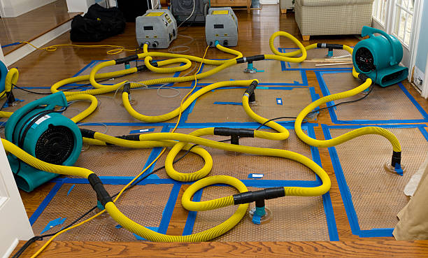 Professional Crawl Space Water Removal technician working in Lothian, MD